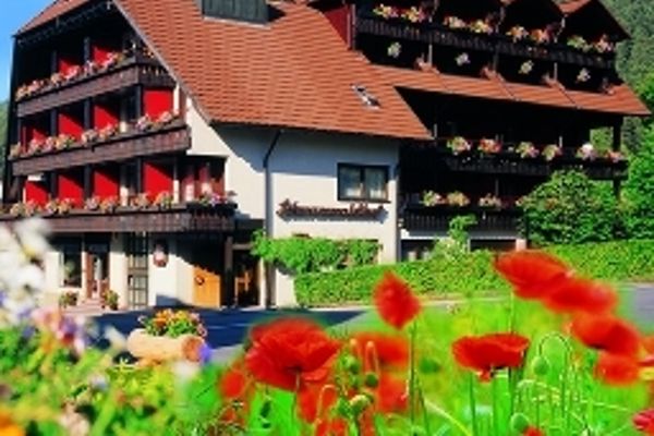 Land-gut-Hotel Schwarzwaldhof (Enzklösterle)